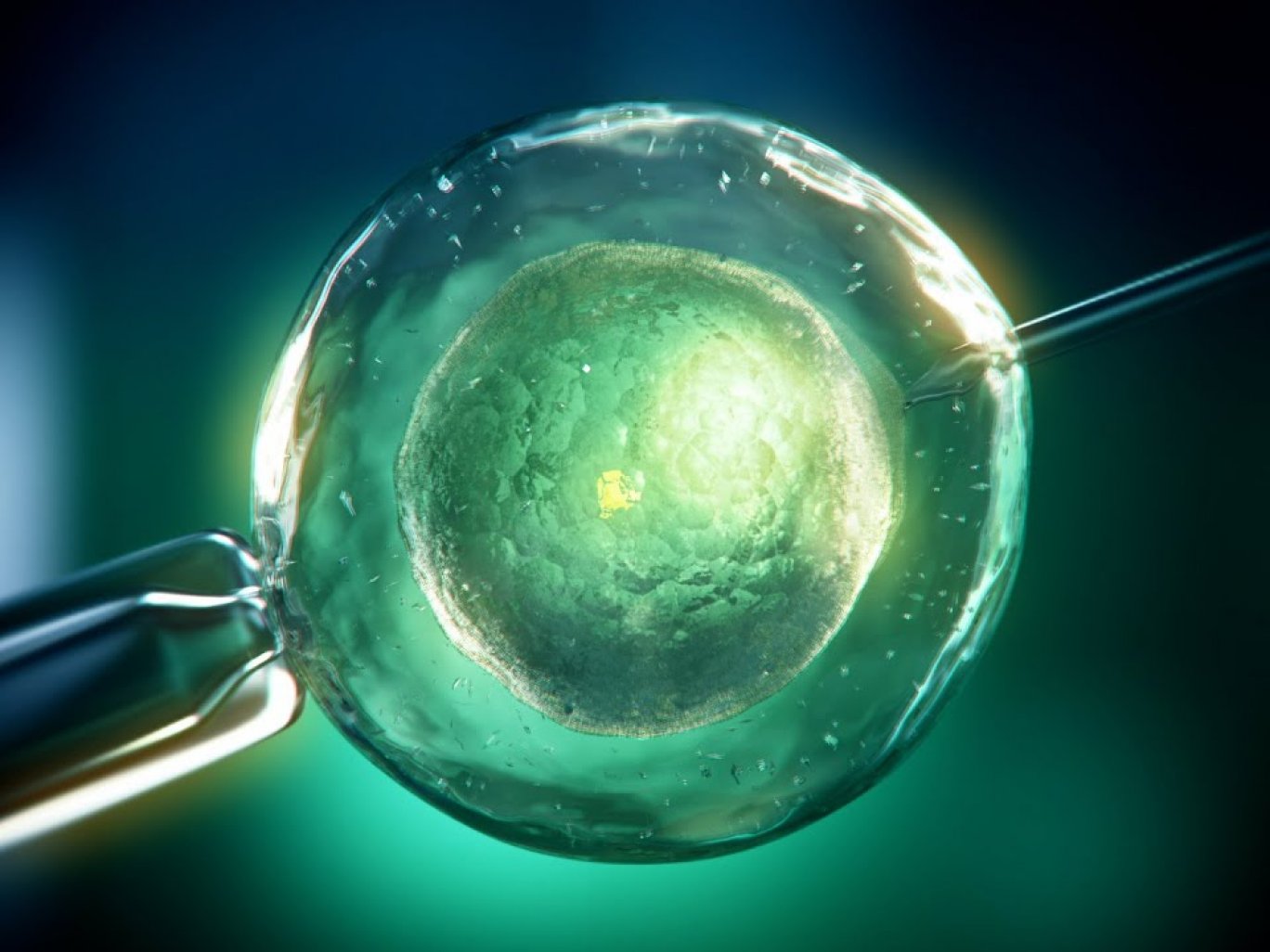 Mikromanipuláció alatt álló emberi petesejt laboratóriumi felvétele